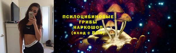 ALPHA PVP Куйбышев