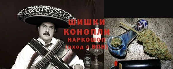 PSILOCYBIN Кулебаки
