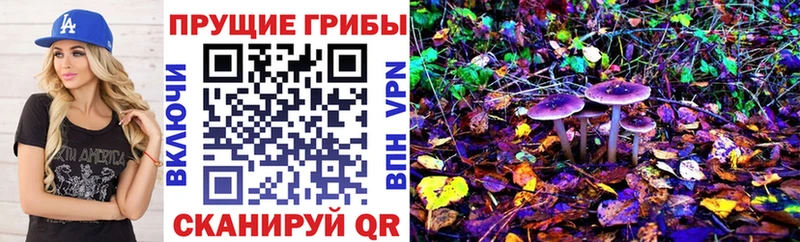 Купить закладки  Тавда  Псилоцибиновые грибы мухоморы 